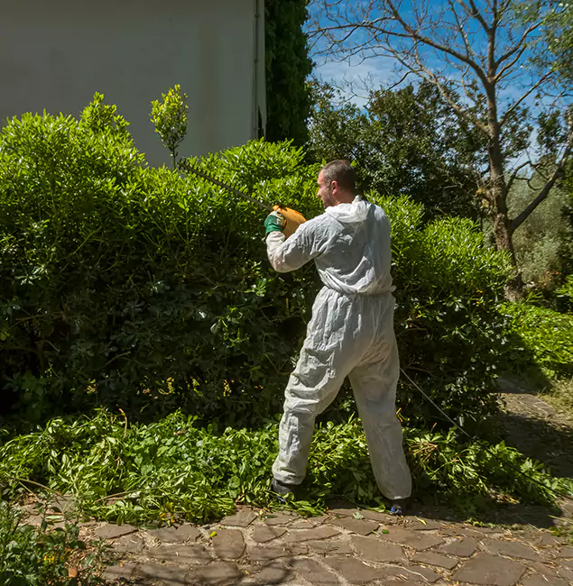 Why Montclair Pest Control Pro Leads Mosquito Control in Montclair, NJ?