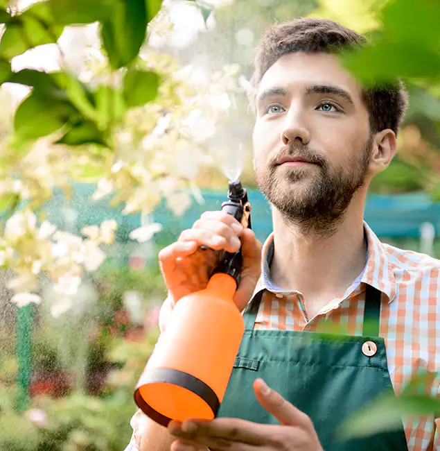 Why Montclair Pest Control Pro Is the Best Mosquito Control Company in Montclair, NJ?