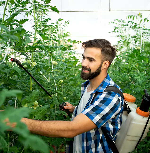 Why Montclair Homeowners Choose Montclair Pest Control Pro for Mosquito Spraying?