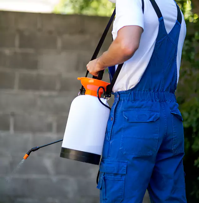 Why Montclair Pest Control Pro Delivers the Best Mosquito Control in Montclair, NJ?