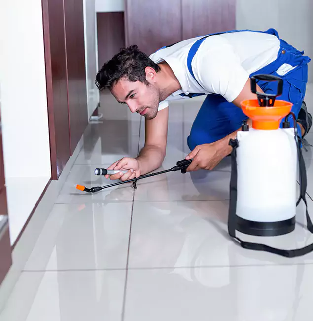 Why Montclair Pest Control Pro Is the Proven Choice in Montclair, NJ?