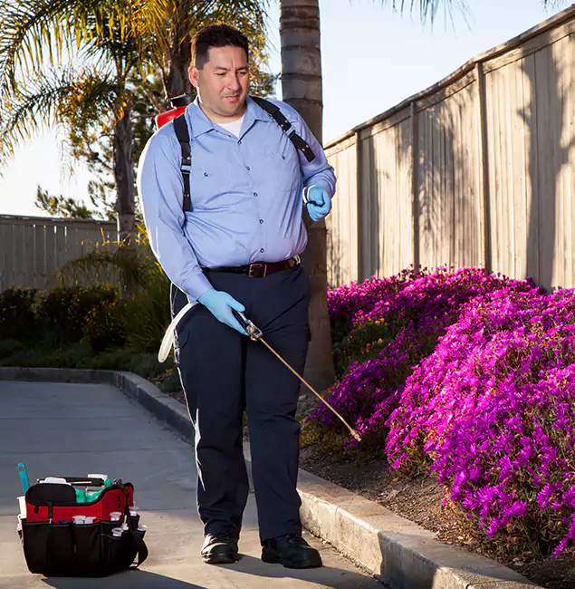 Why Choose Montclair Pest Control Pro in Montclair, NJ?