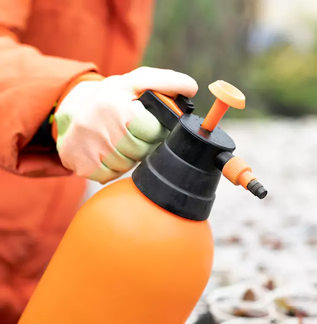 Why Choose Montclair Pest Control Pro for Orange Termite Treatment in Montclair, NJ?