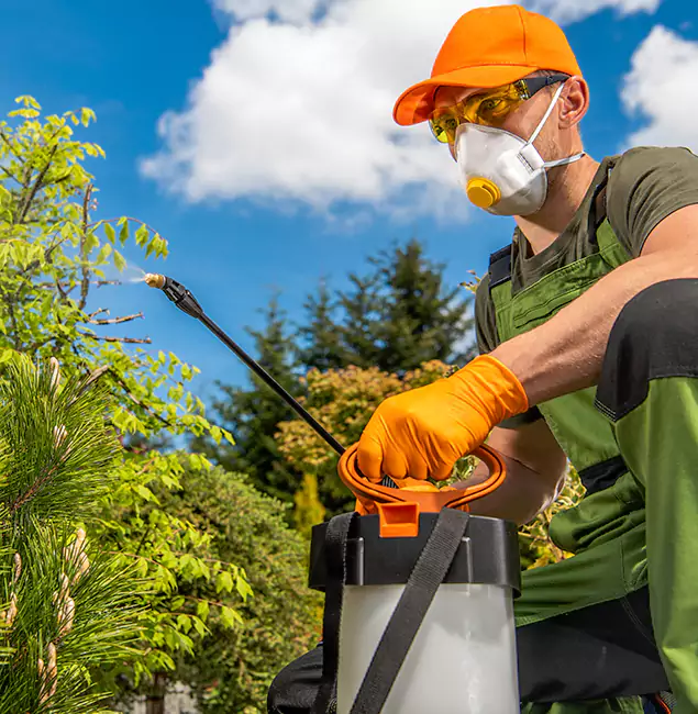 Why Choose Montclair Pest Control Pro for Outdoor Pest Control in Montclair, NJ?