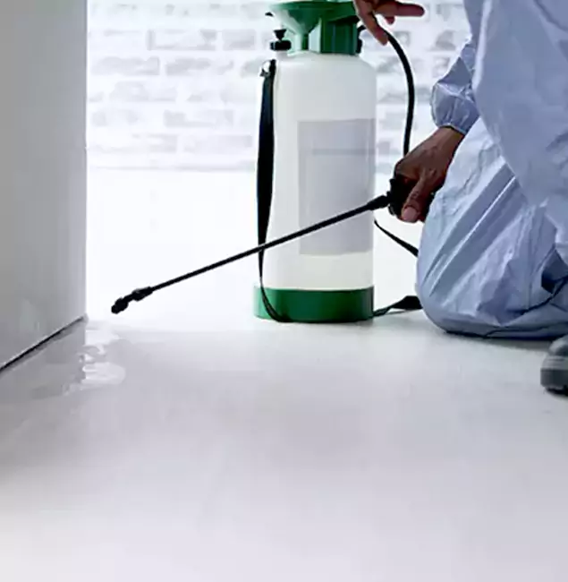 Why Choose Montclair Pest Control Pro for Rat Exterminator in Montclair, NJ?
