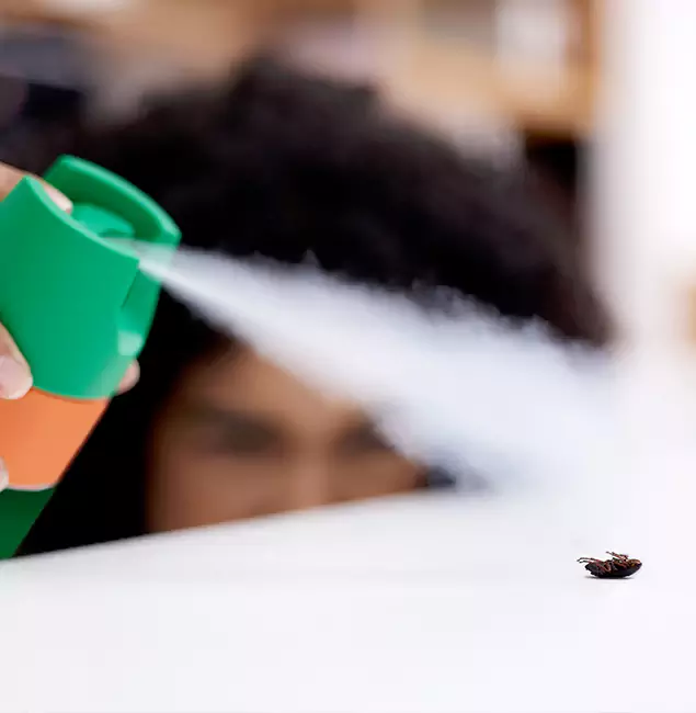 Why Montclair, NJ Homeowners Choose Montclair Pest Control Pro for Roach Pest Control?