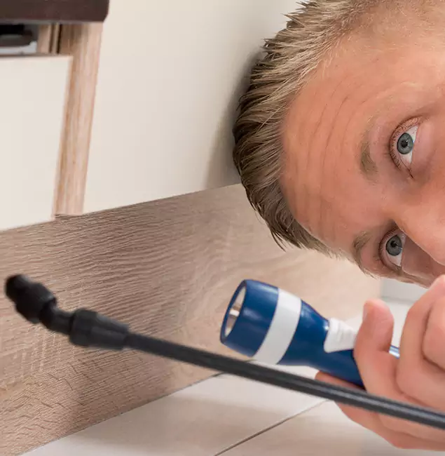 Why Choose Montclair Pest Control Pro for Rodent Exterminator in Montclair, NJ?