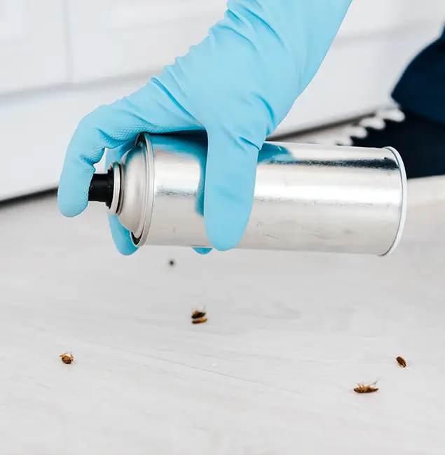 Why Choose Montclair Pest Control Pro for Safe Bed Bug Treatment in Montclair, NJ?
