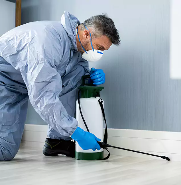 Why Choose Montclair Pest Control Pro for Subterranean Termites Treatment in Montclair, NJ?