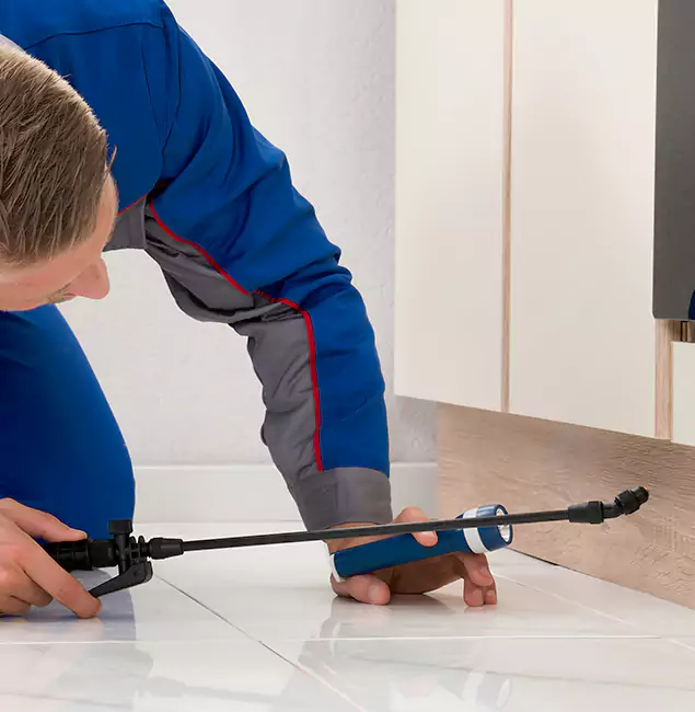 Why Montclair Residents Choose Montclair Pest Control Pro to Get Rid of Sugar Ants?