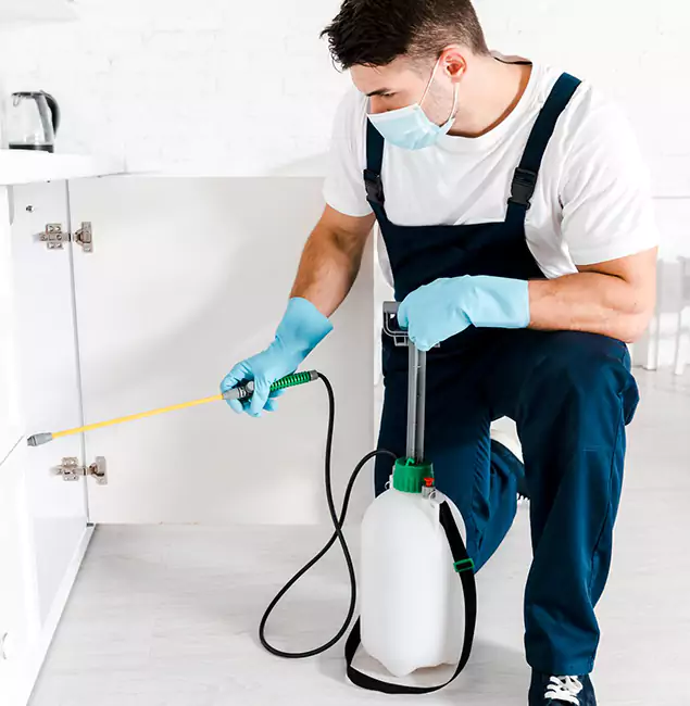 Why Choose Montclair Pest Control Pro for Termite Spot Treatment in Montclair, NJ?