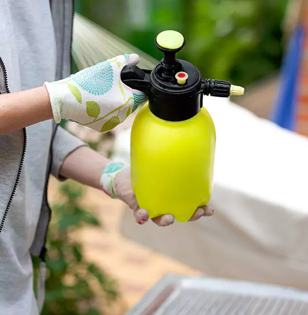Why Choose Us: Montclair Pest Control Pro Termite Spraying Experts in Montclair, NJ?