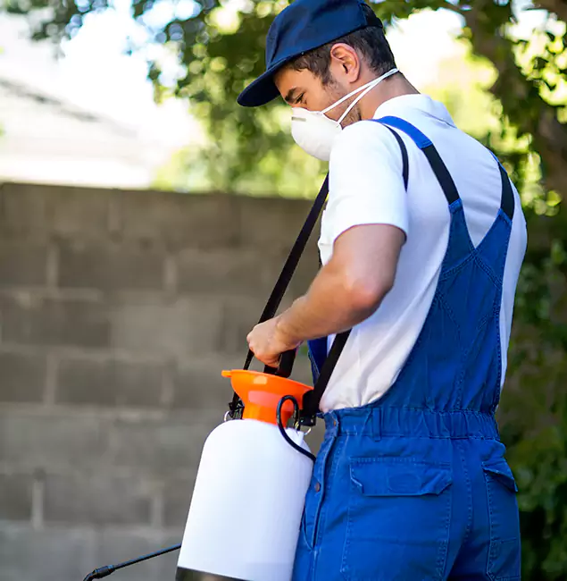 Why Montclair Pest Control Pro Is the Right Choice for Yellow Jacket Removal in Montclair, NJ?
