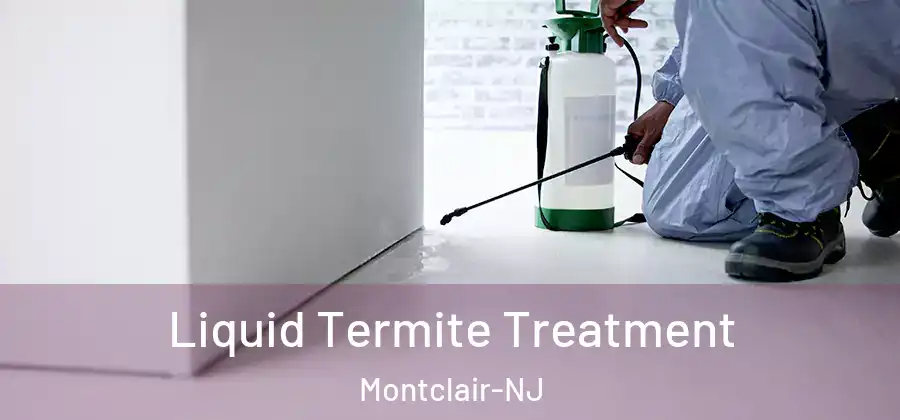 Liquid Termite Treatment Montclair-NJ
