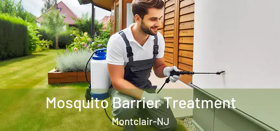  Mosquito Barrier Treatment Montclair-NJ