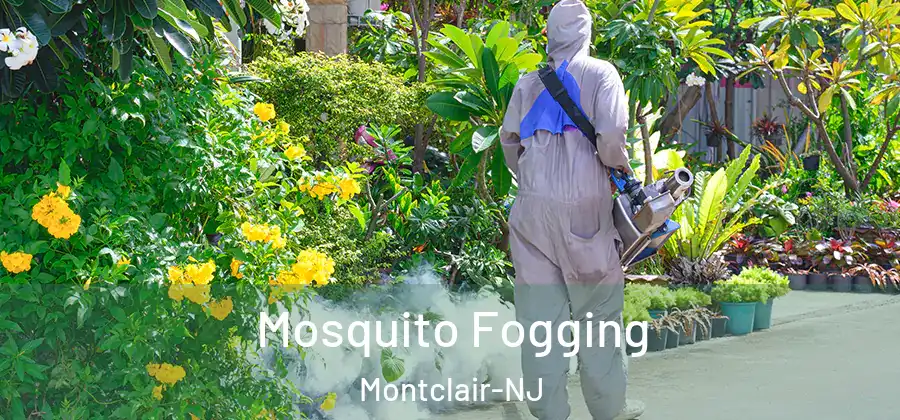 Mosquito Fogging Montclair-NJ