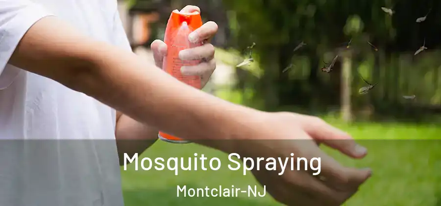 Mosquito Spraying Montclair-NJ