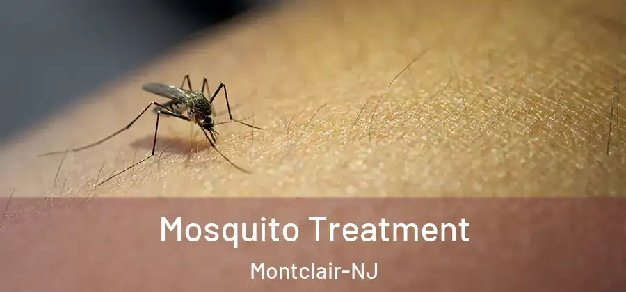  Mosquito Treatment Montclair-NJ