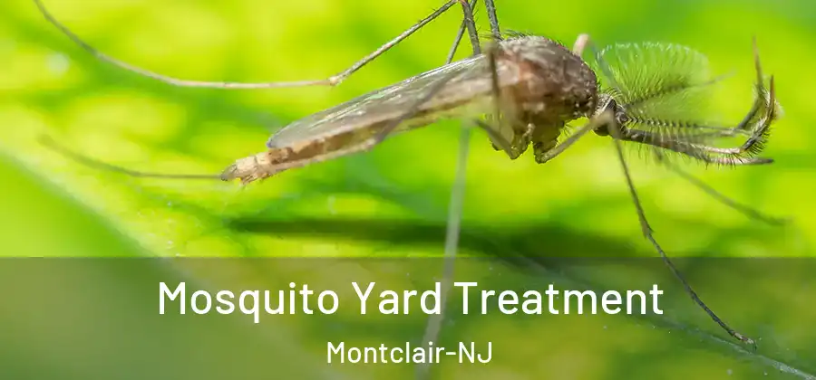  Mosquito Yard Treatment Montclair-NJ