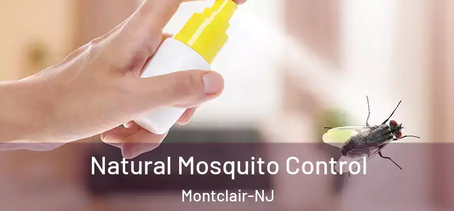  Natural Mosquito Control Montclair-NJ