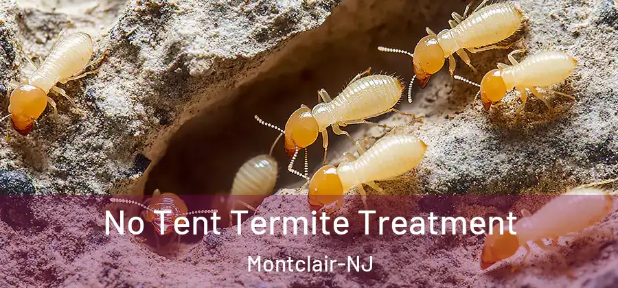 No Tent Termite Treatment Montclair-NJ
