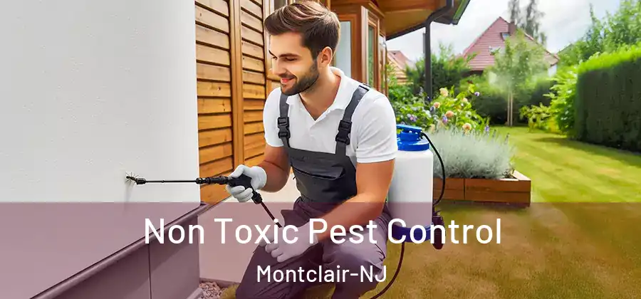  Non Toxic Pest Control Montclair-NJ