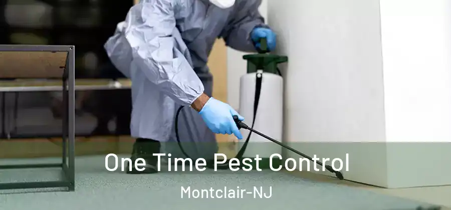 One Time Pest Control Montclair-NJ
