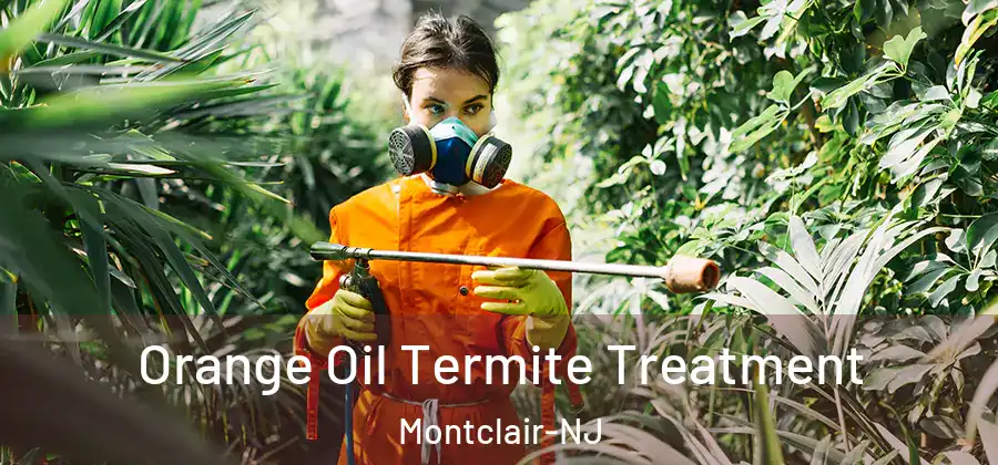  Orange Oil Termite Treatment Montclair-NJ