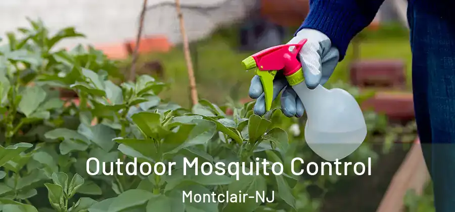 Outdoor Mosquito Control Montclair-NJ