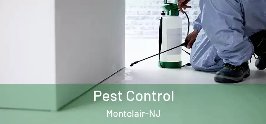  Pest Control Montclair-NJ