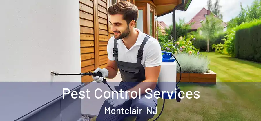 Pest Control Services Montclair-NJ