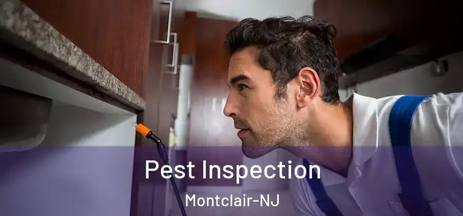 Pest Inspection Montclair-NJ