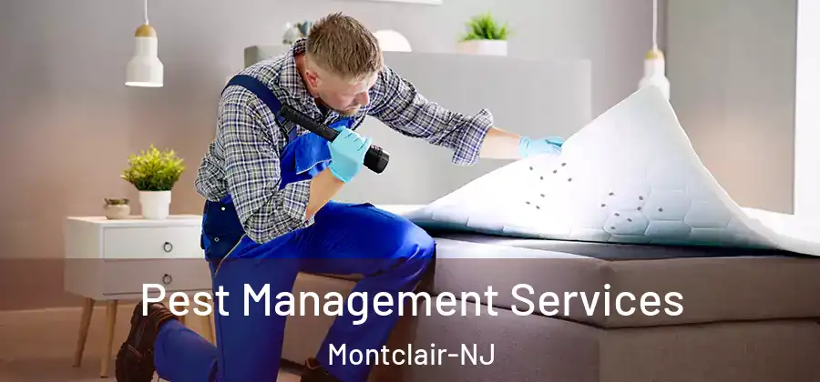 Pest Management Services Montclair-NJ