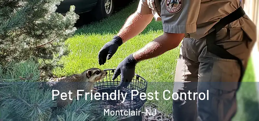 Pet Friendly Pest Control Montclair-NJ