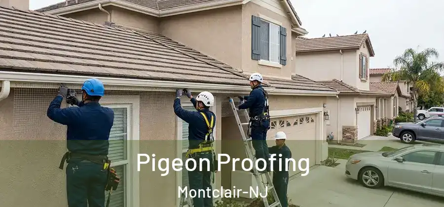 Pigeon Proofing Montclair-NJ