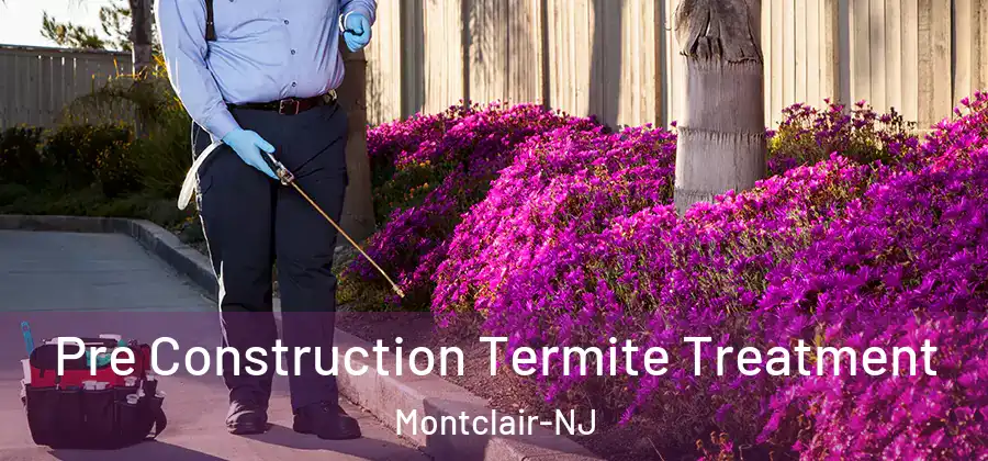  Pre Construction Termite Treatment Montclair-NJ
