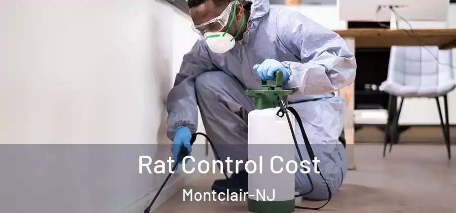 Rat Control Cost Montclair-NJ