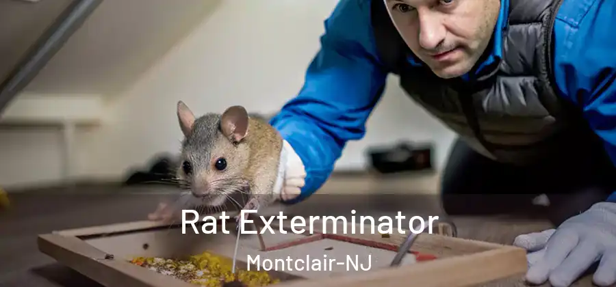 Rat Exterminator Montclair-NJ