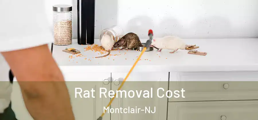 Rat Removal Cost Montclair-NJ
