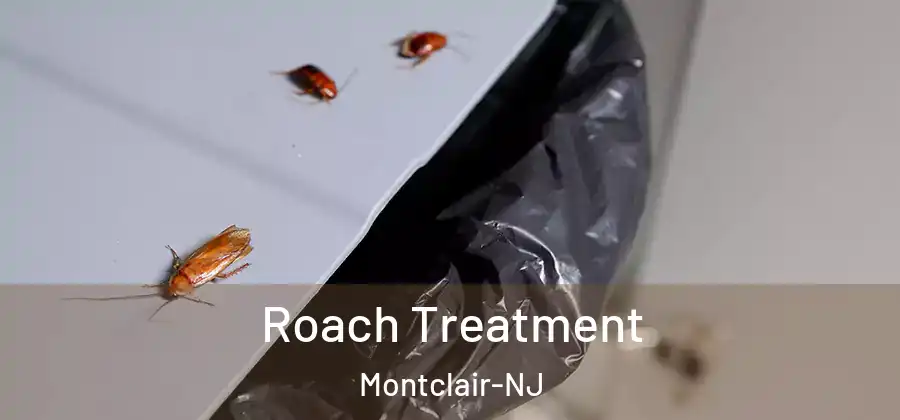  Roach Treatment Montclair-NJ