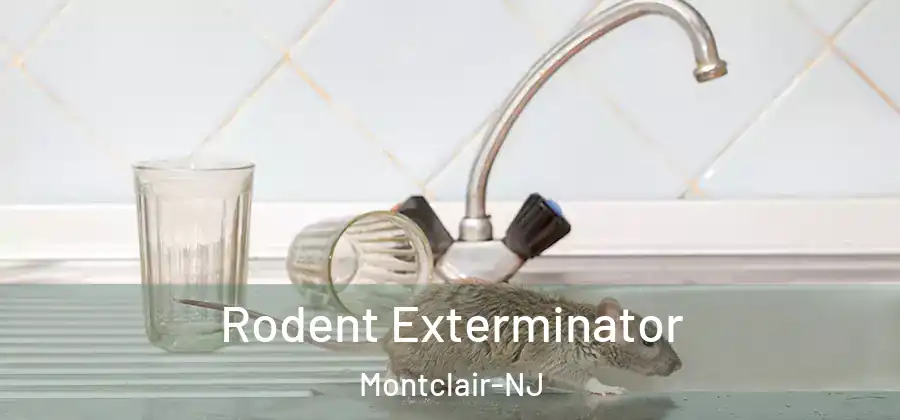 Rodent Exterminator Montclair-NJ