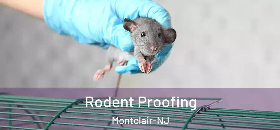 Rodent Proofing Montclair-NJ