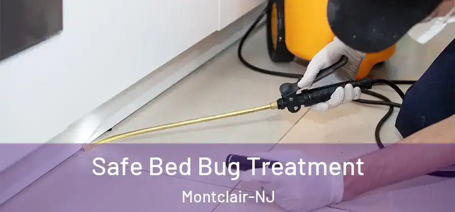 Safe Bed Bug Treatment Montclair-NJ