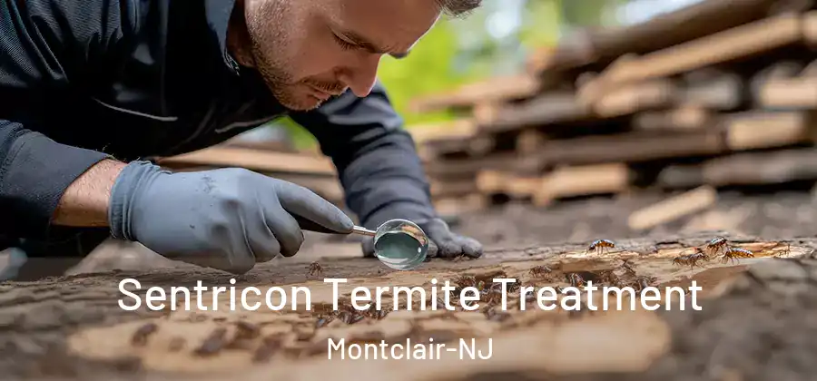  Sentricon Termite Treatment Montclair-NJ