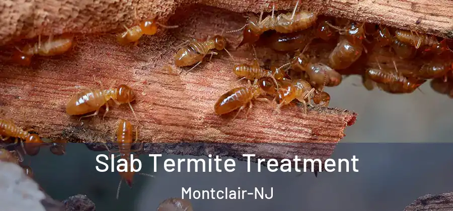  Slab Termite Treatment Montclair-NJ