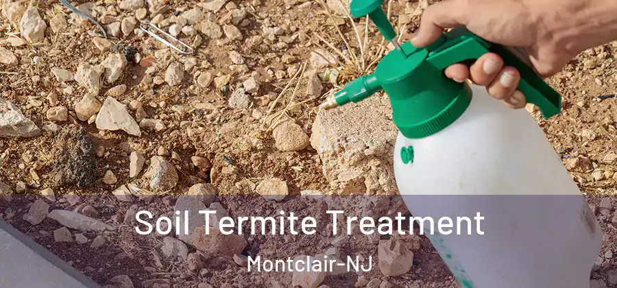  Soil Termite Treatment Montclair-NJ