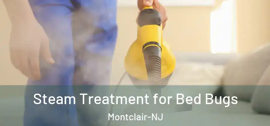  Steam Treatment for Bed Bugs Montclair-NJ