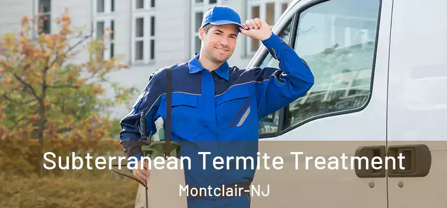  Subterranean Termite Treatment Montclair-NJ