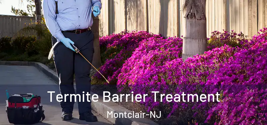  Termite Barrier Treatment Montclair-NJ