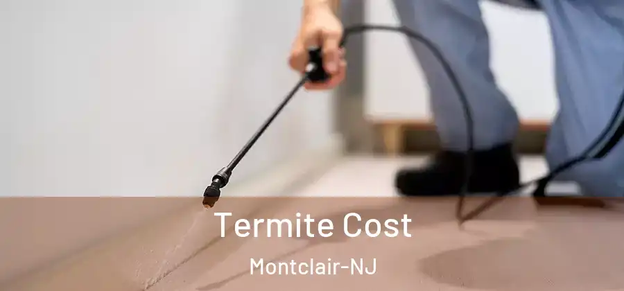  Termite Cost Montclair-NJ